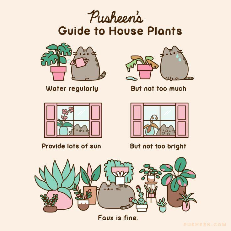 Pusheen house plants Pusheen cat Pusheen cute Pusheen