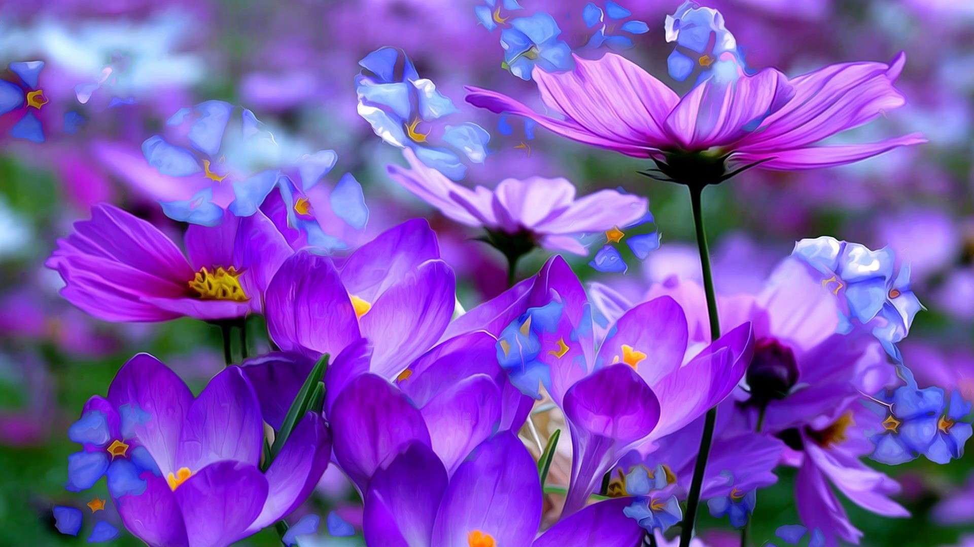 purple flowers background
