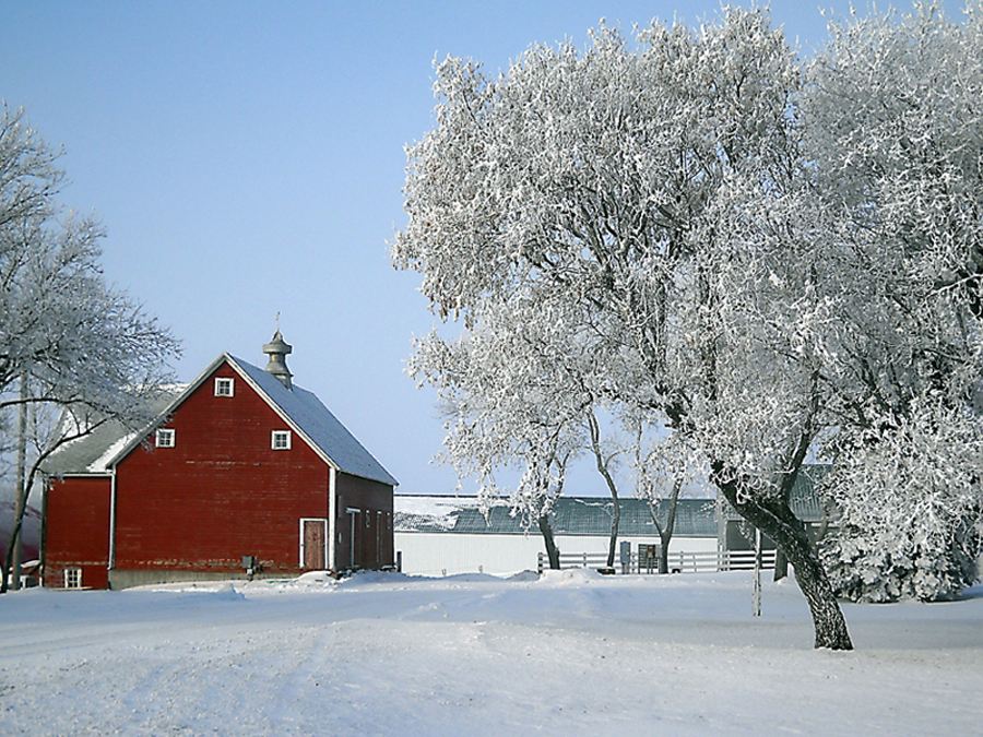 Winter Barn Scenes Barns