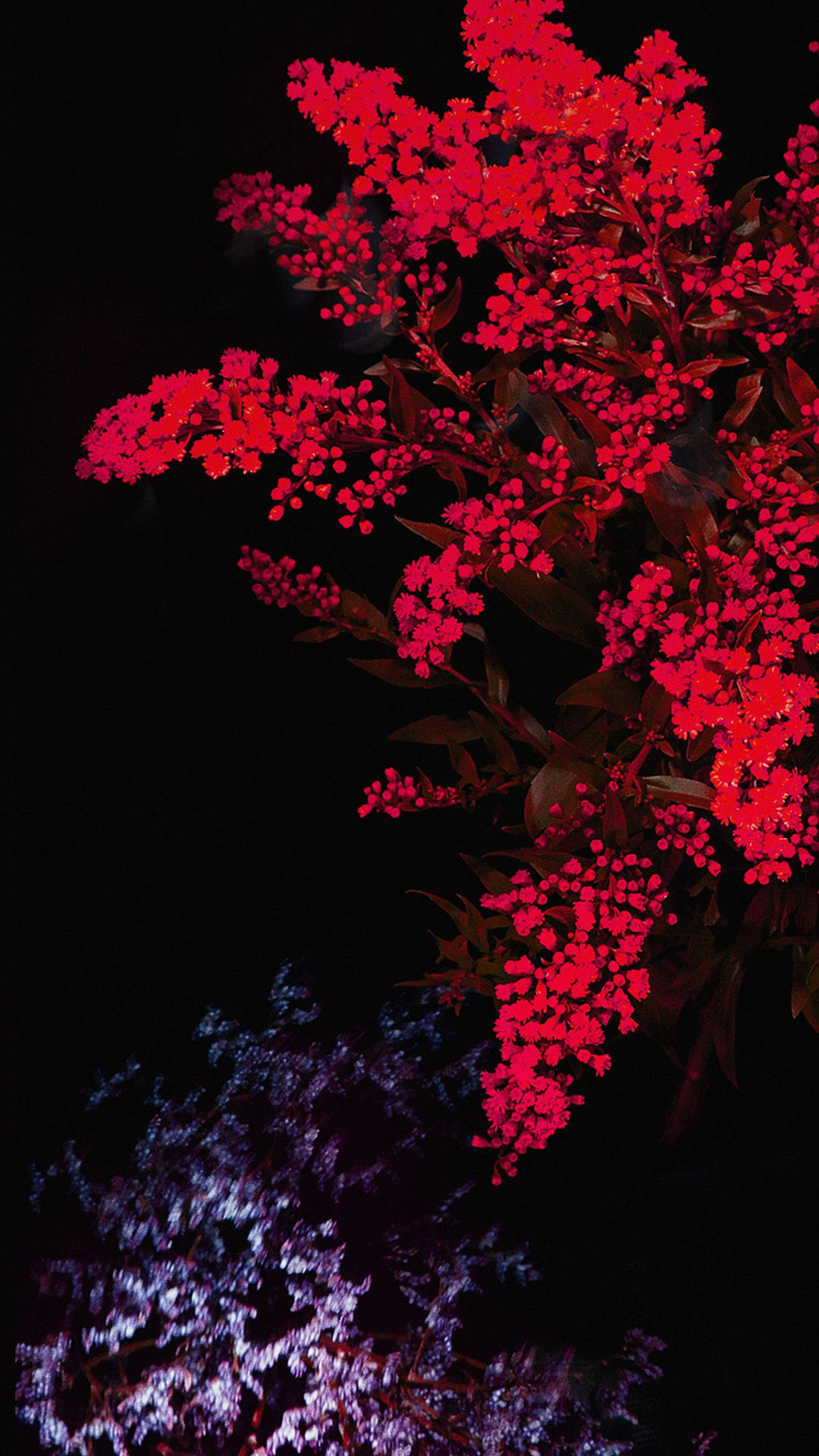 Enigmatic Blooms Wallpaper