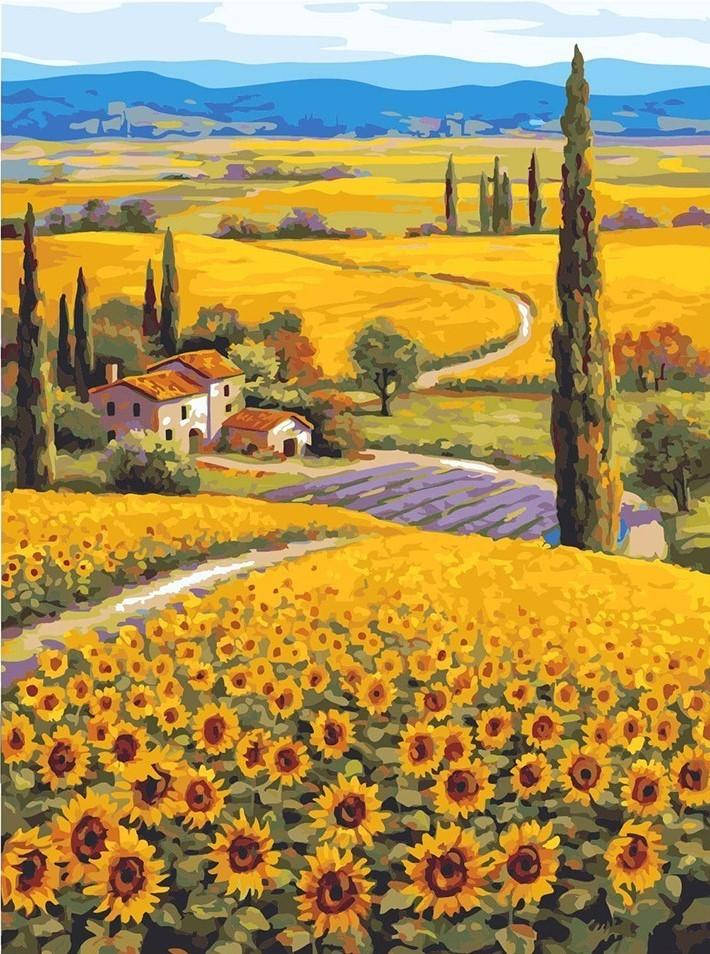 Sunflower Field Wallpaper