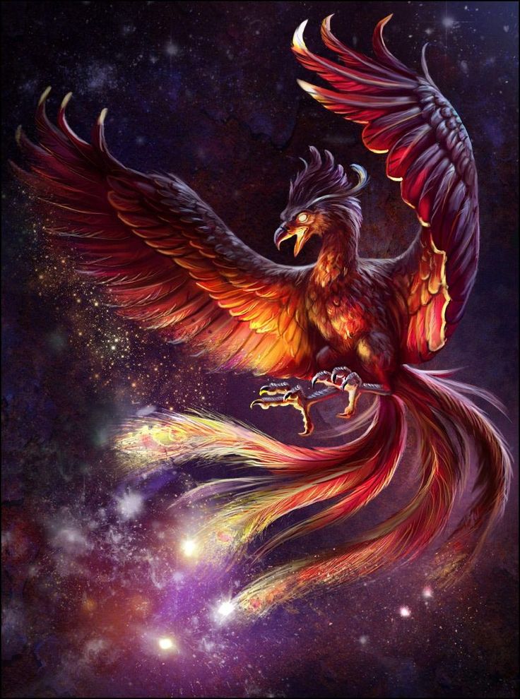 Prideful Phoenix Live Wallpaper - free download