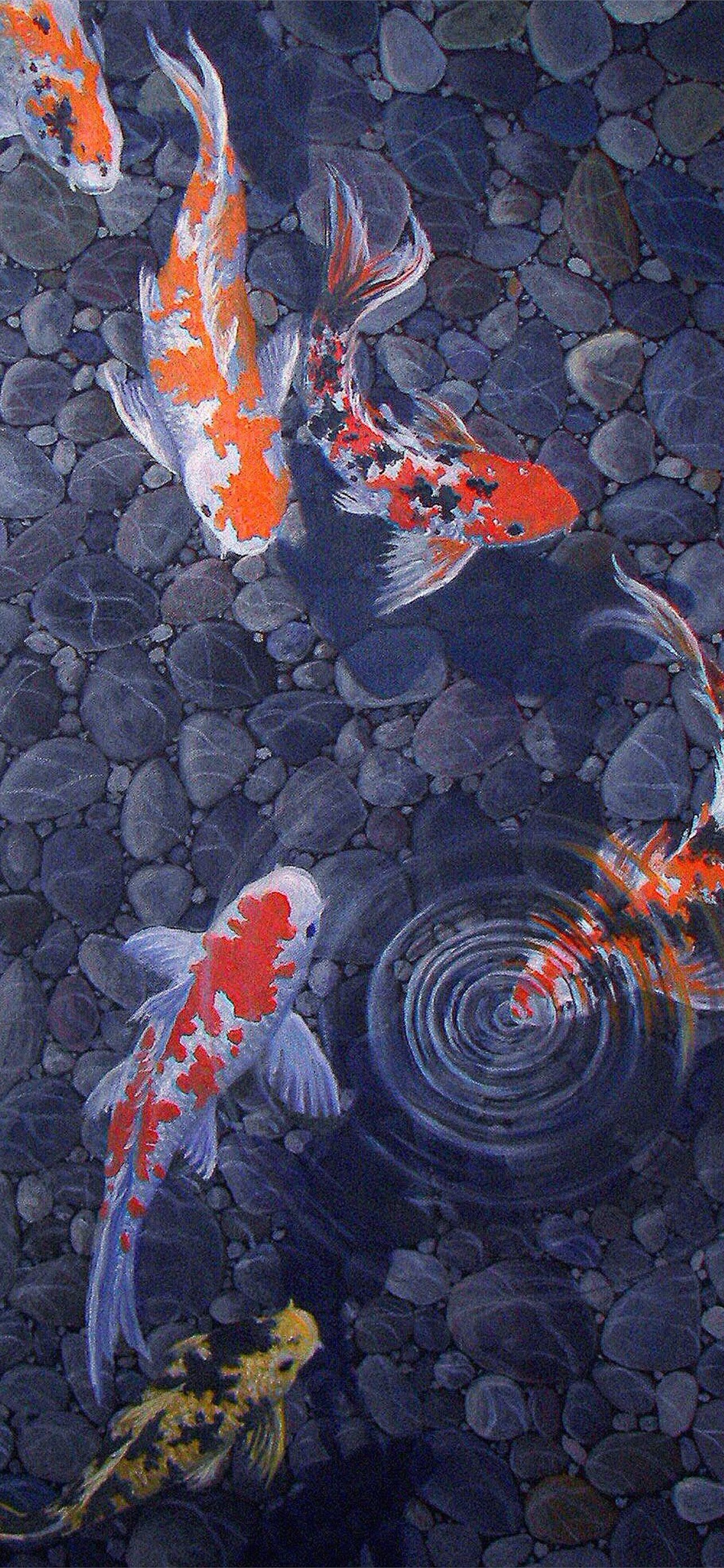 Salmon Fish iPhone Wallpaper
