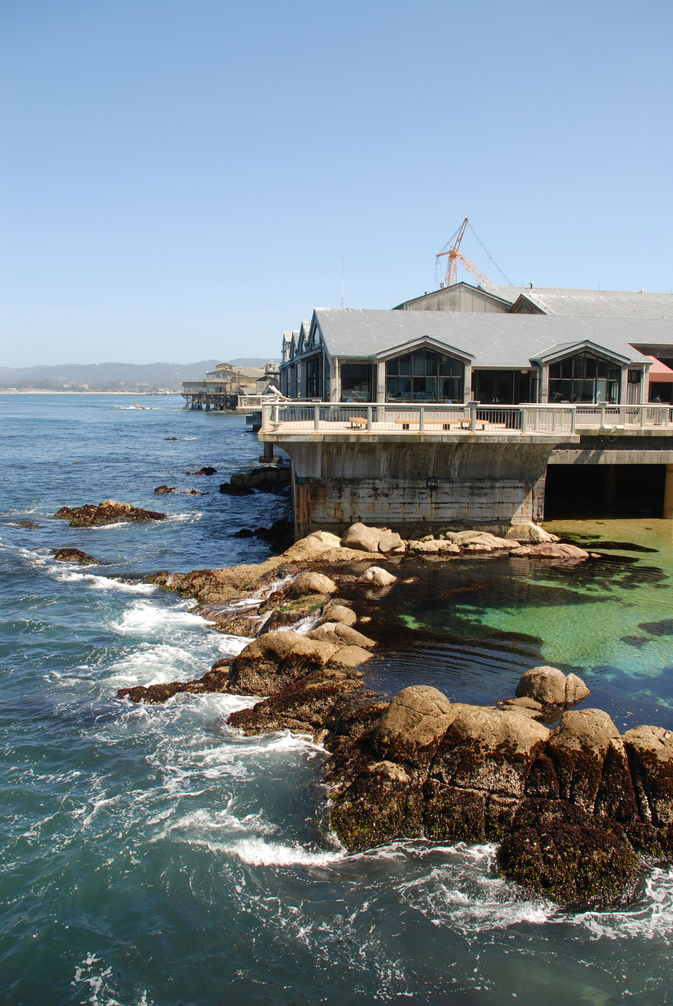 Monthly Monterey Bay Aquarium HD Wallpaper