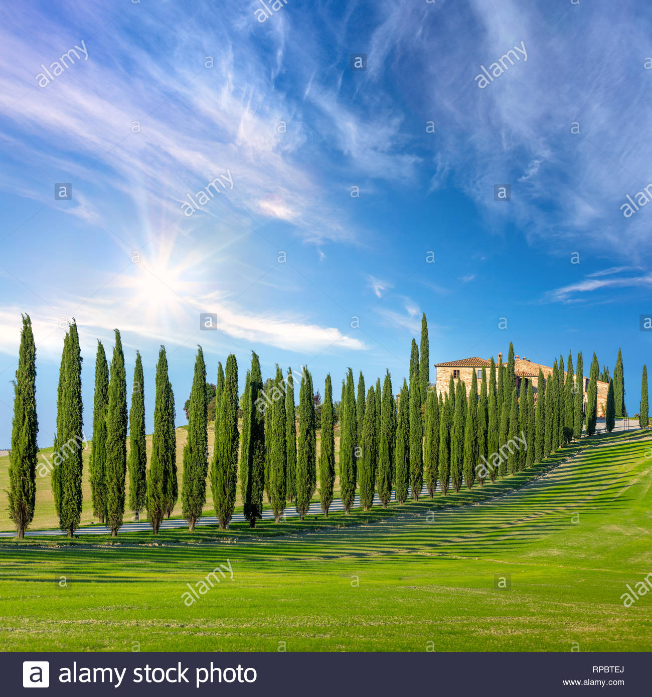 Sunny Landscape Background Of Tuscany Countryside Road With
