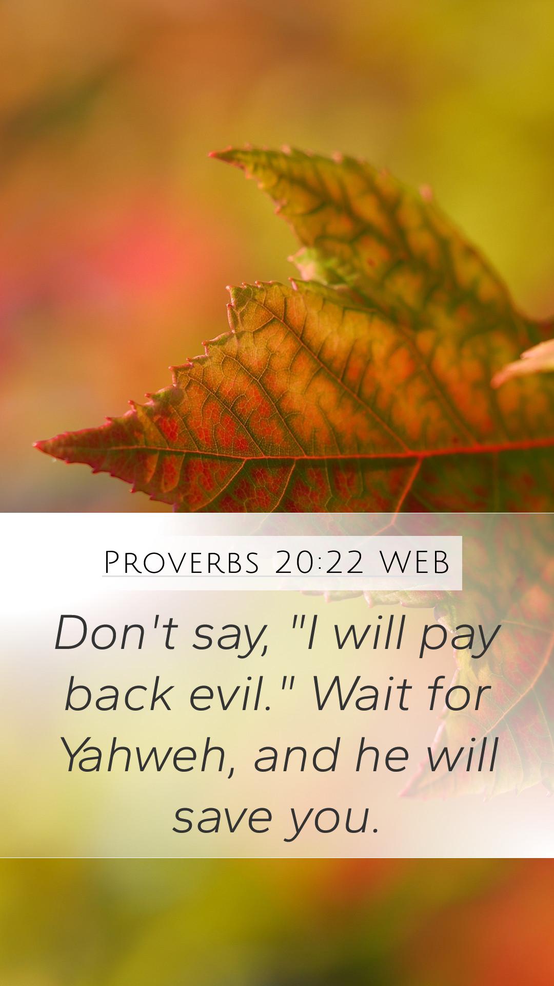 Proverbs Web Mobile Phone Wallpaper Don T Say I Will Pay