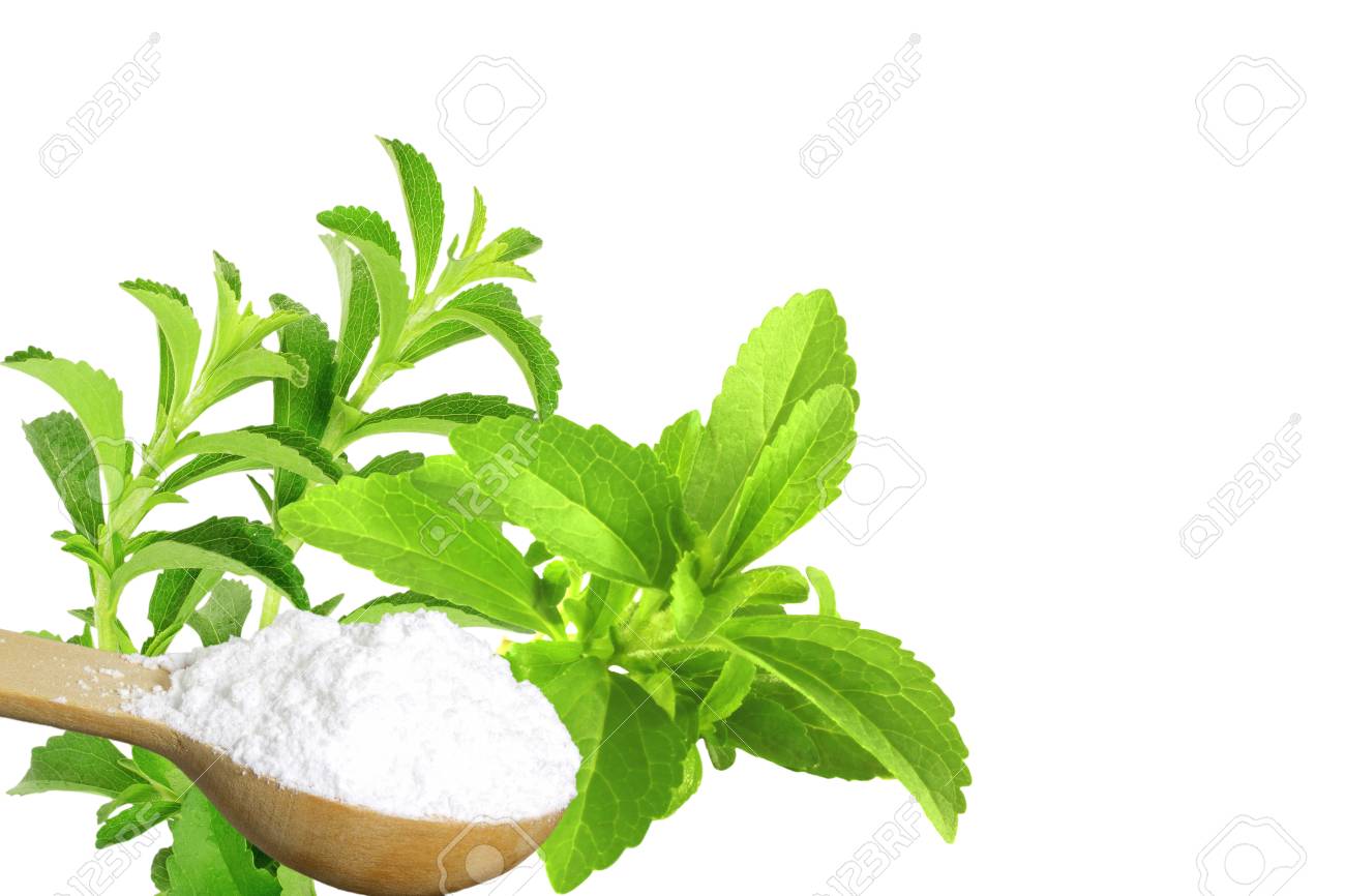 Sugar Substitute Stevia Plant And Extract Powder On White