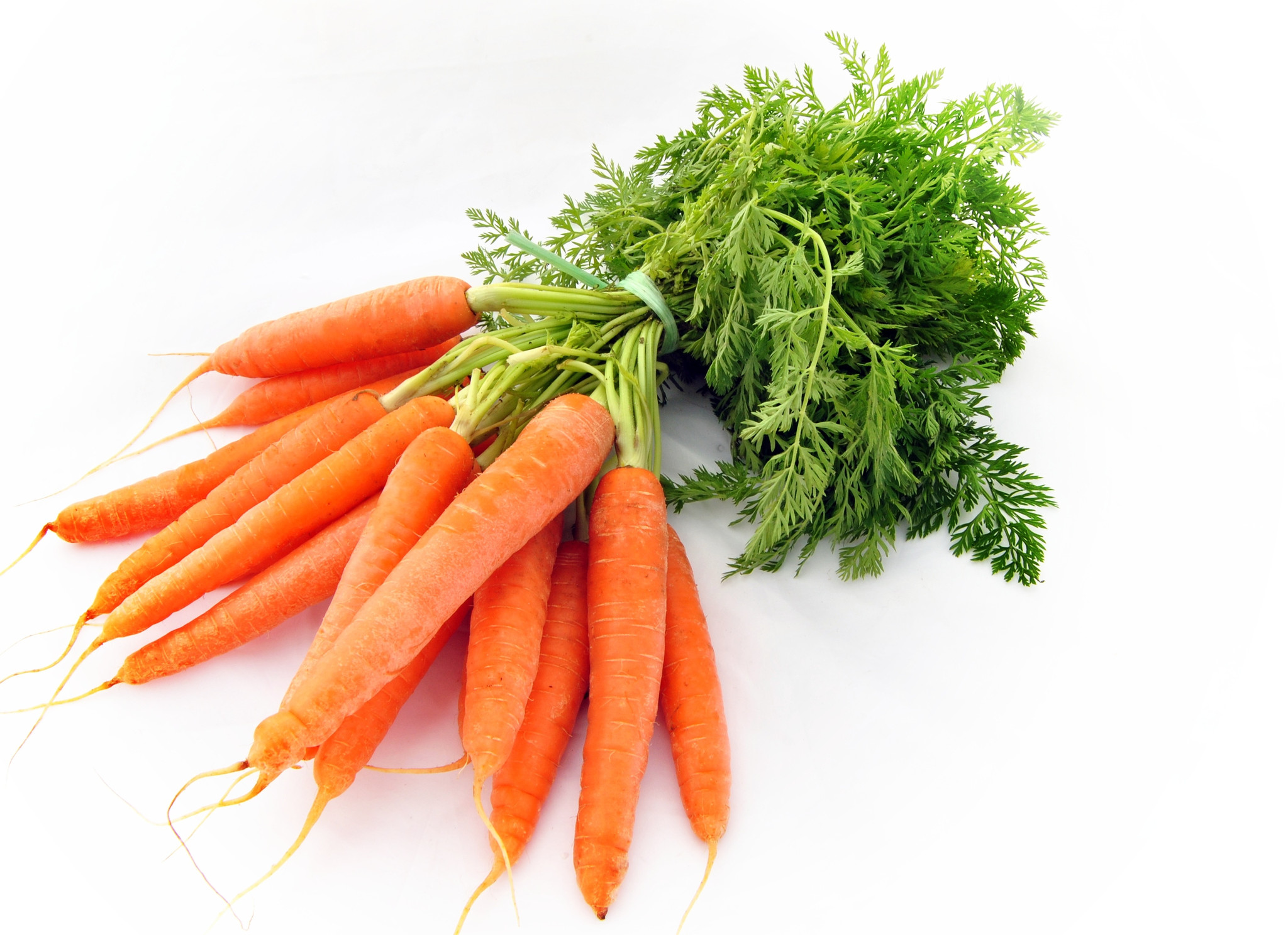 Carrot Subzity