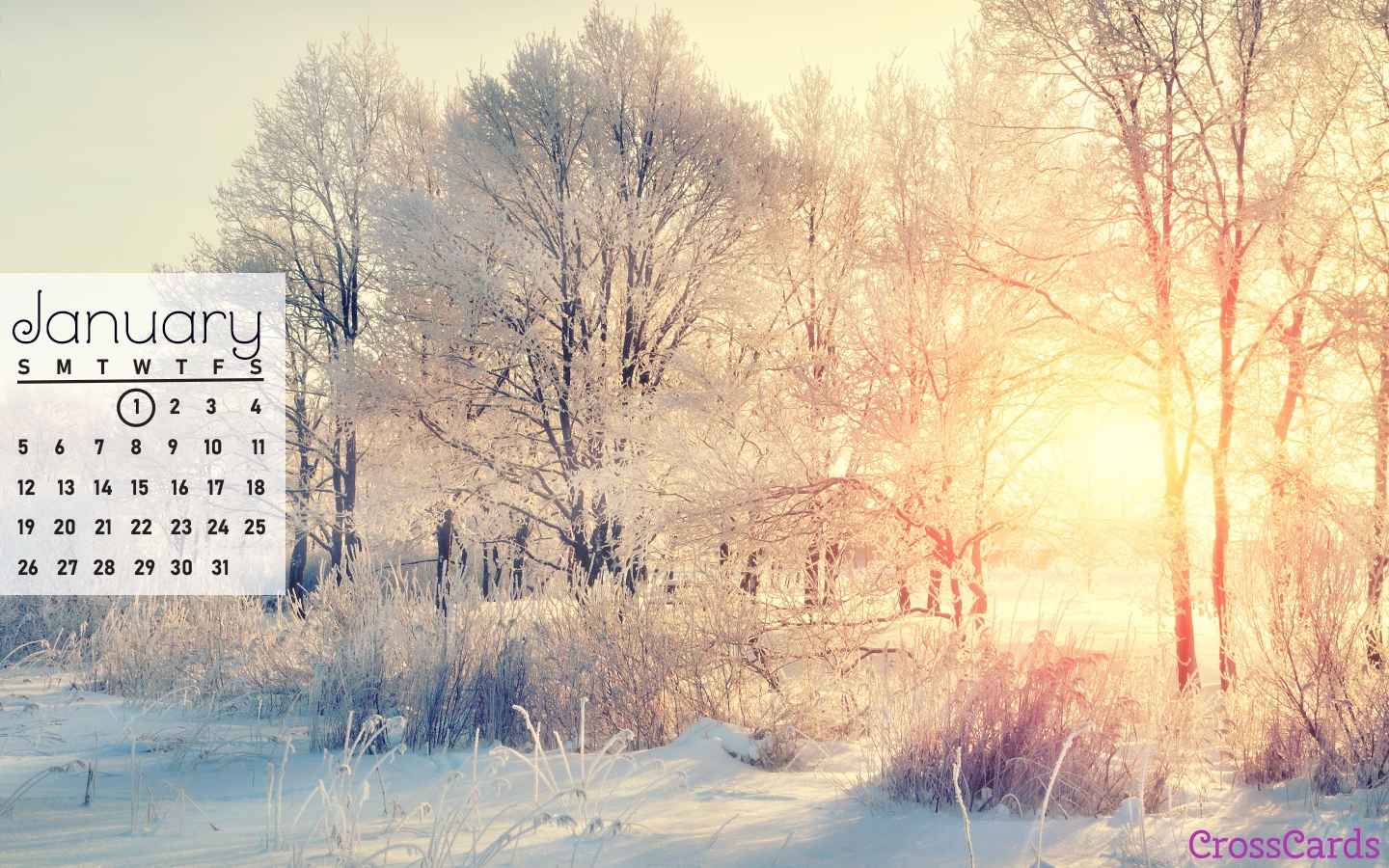 January 2025 Calendar Wallpaper: Snowy sunrise through frosted trees