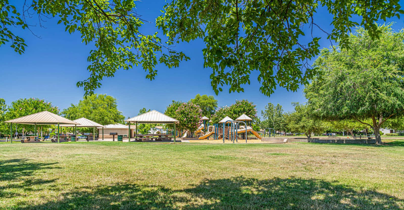 Independence Park Wallpaper