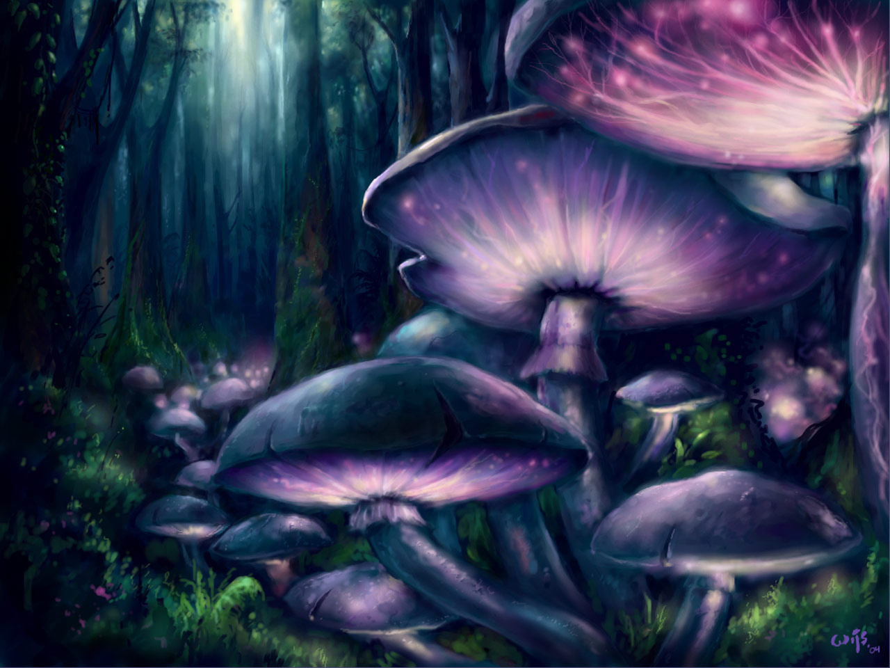 Pictures mushroom forest wallpapers pictures free download