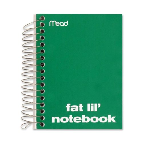 Mead Fat Lil Fashion Notebook Sheet College Ruled X