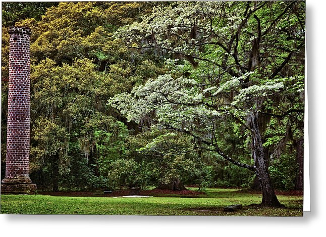 Low Country Spring Greeting Card by Diana Powell