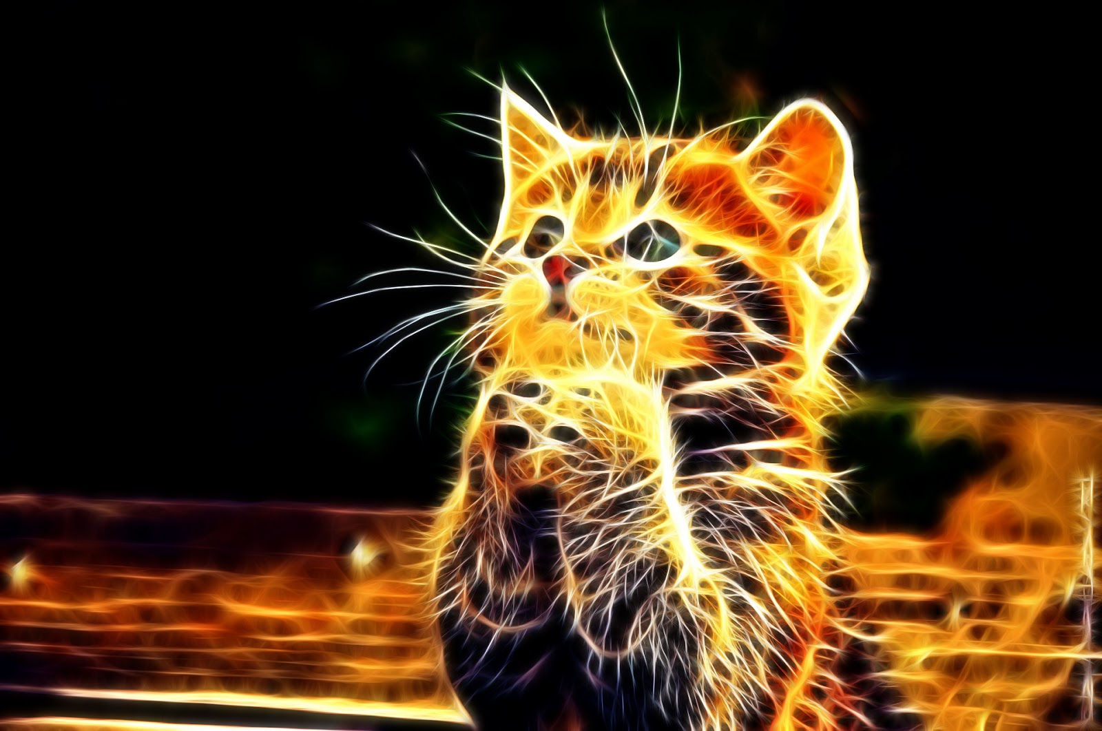 3D Render of a Kitten with a Fiery Glow Effect