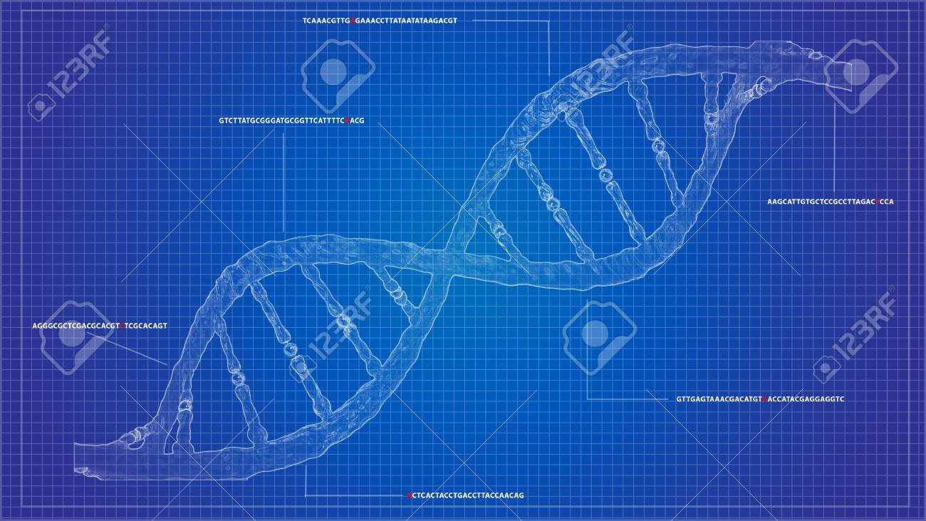 DNA Sequencing Blueprint RNA Sequencing DNA Computational Models