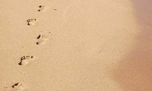 Free amazing Footprints Wallpapers This app is a super collection of