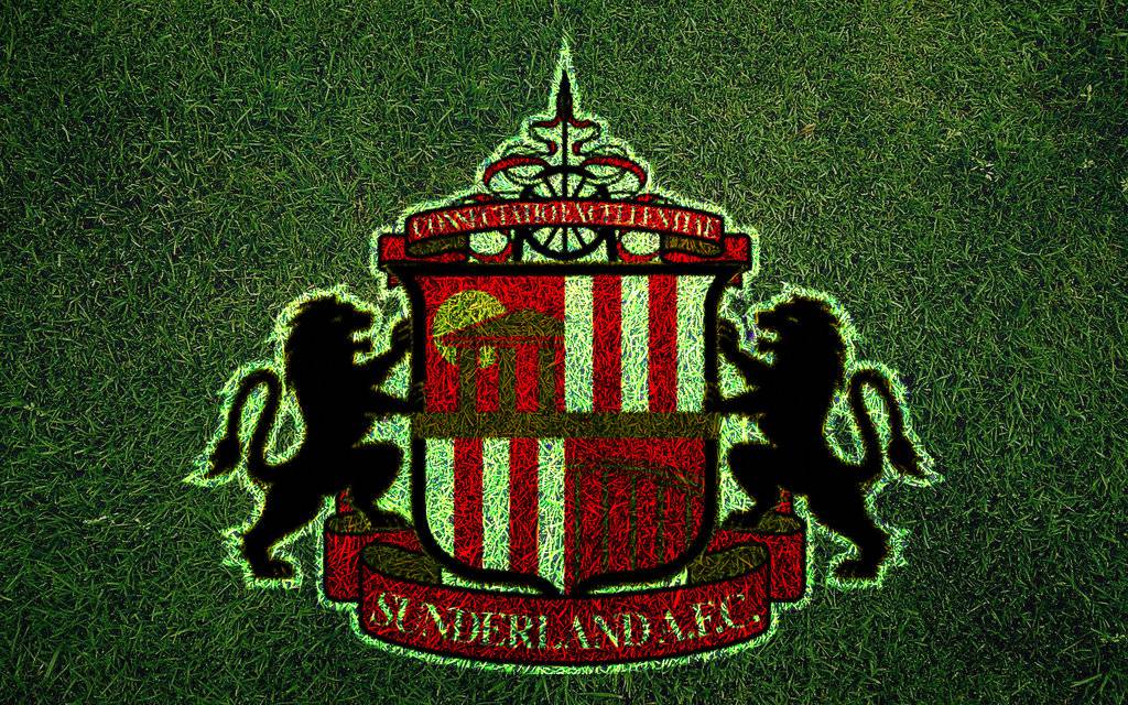 Free download Sunderland AFC Best Wallpaper Football HD Wallpapers