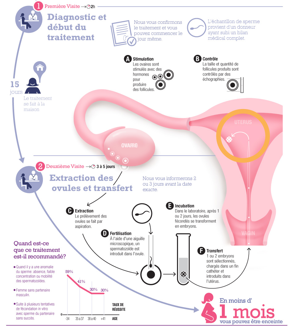 La F Condation In Vitro Avec Ovules Propres Et Don De Sperme Est Une