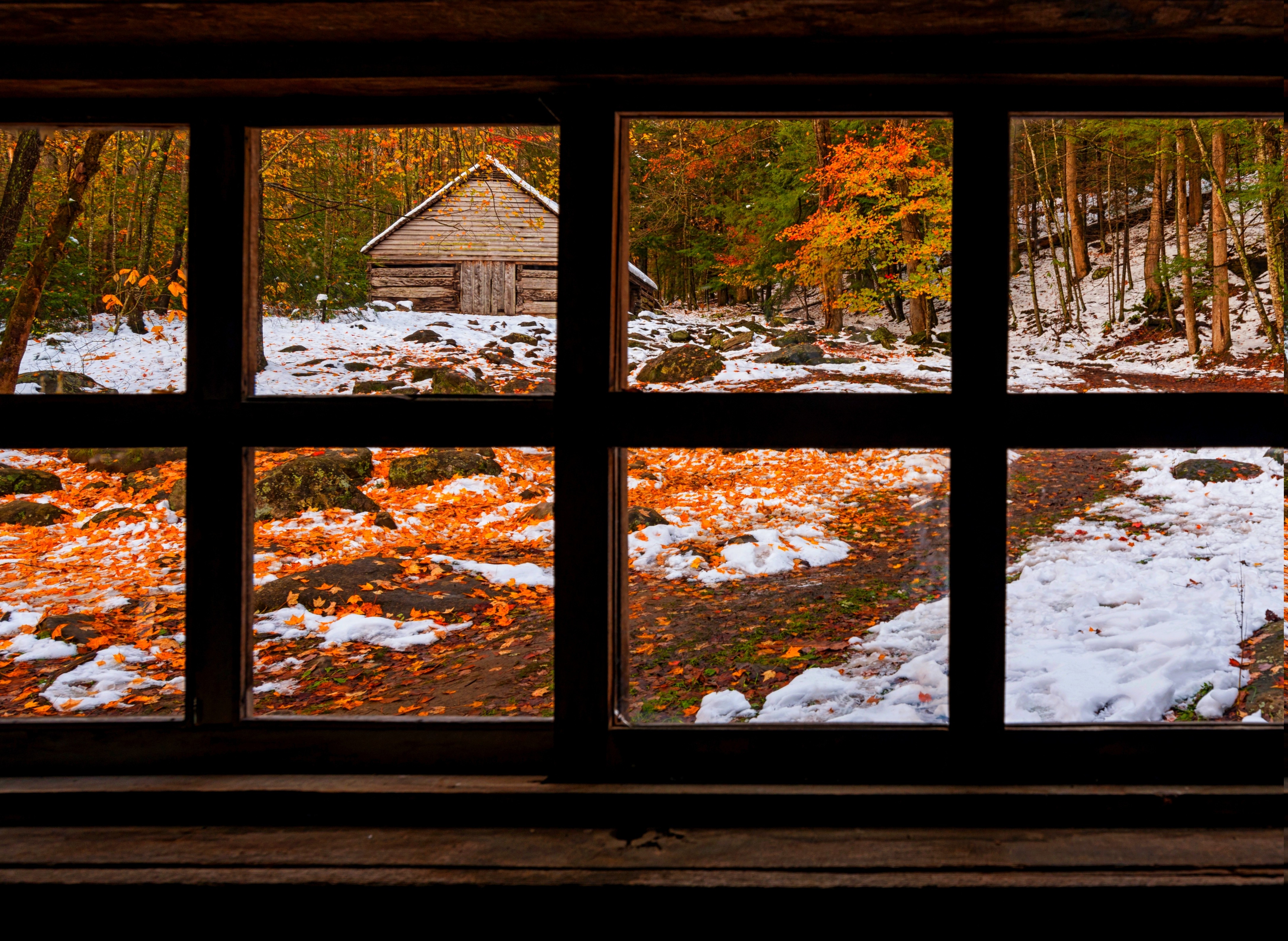 nature Forest Window Fall Snow Winter Wallpapers HD Desktop 4350x3180