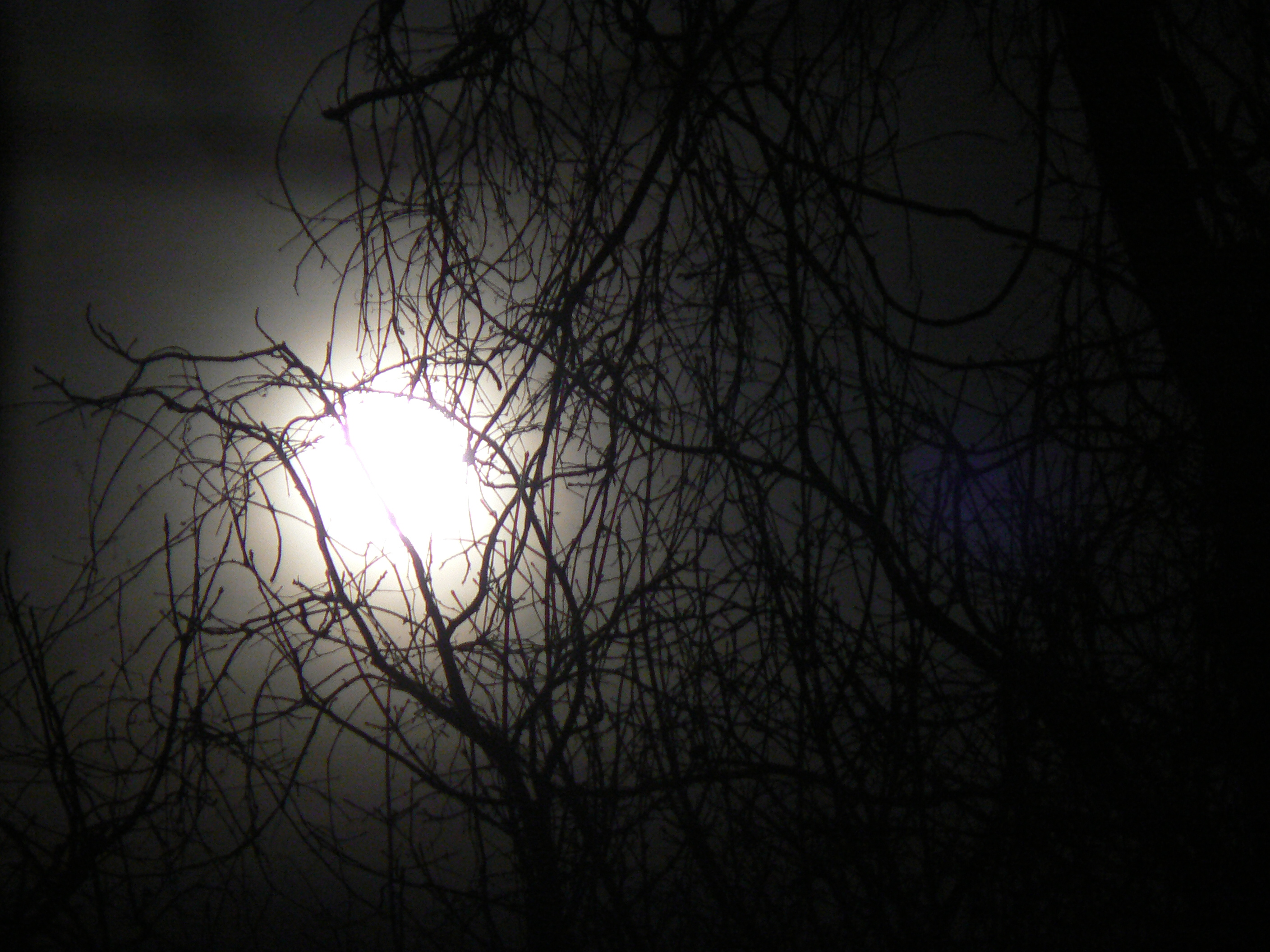 dark moonlight 580 x 260