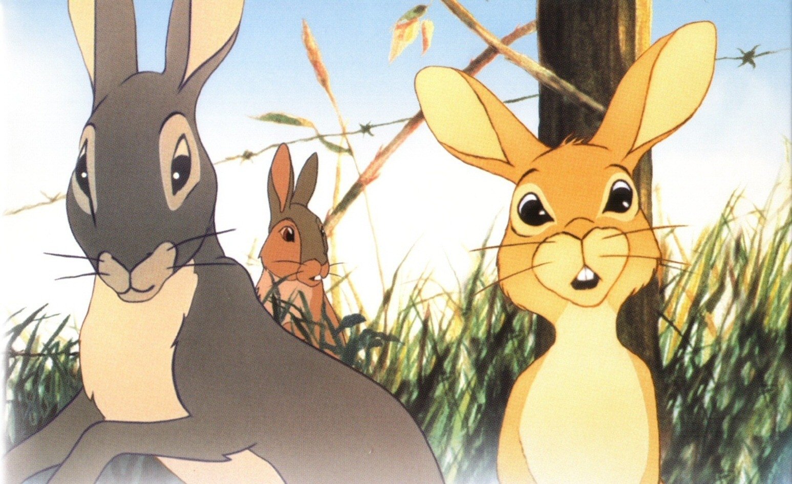 Watership Down Wallpaper And Background Image