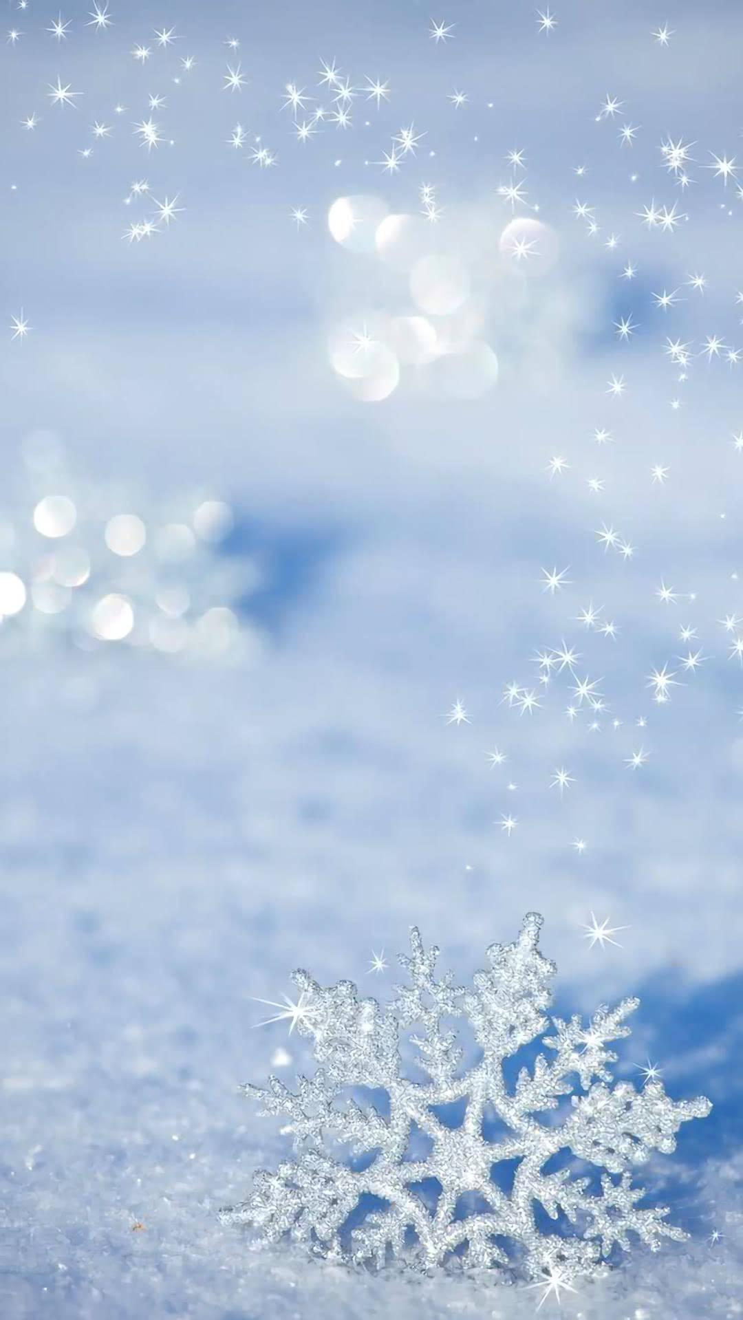 Winter Wonderland Perfectly Captured On New Snowflake