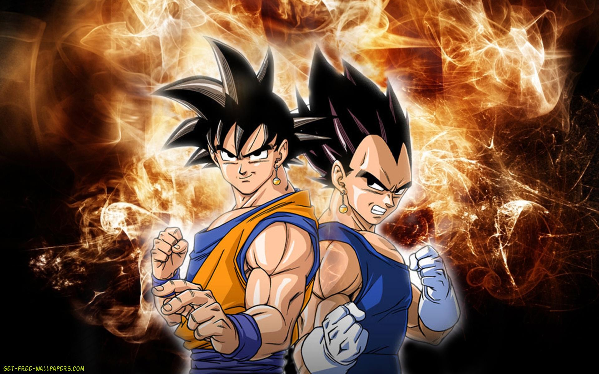 Download Goku And Vegeta Wallpaper