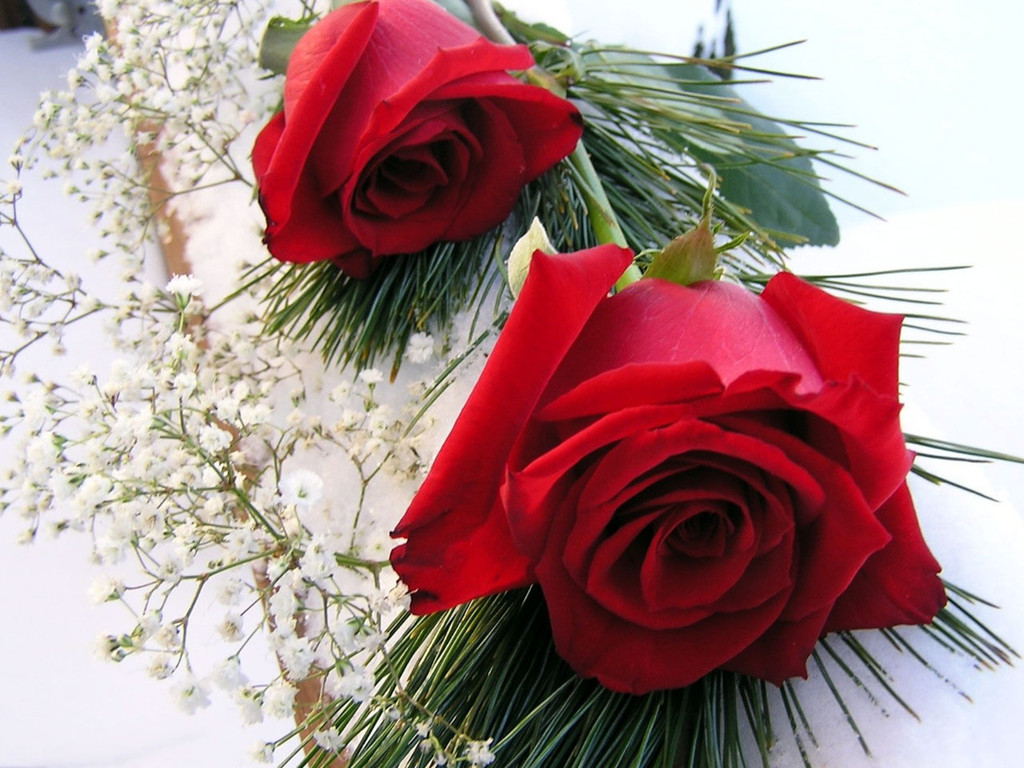 Red Roses Love Wallpaper And Background Seen On Dil Ki Dunya Tk