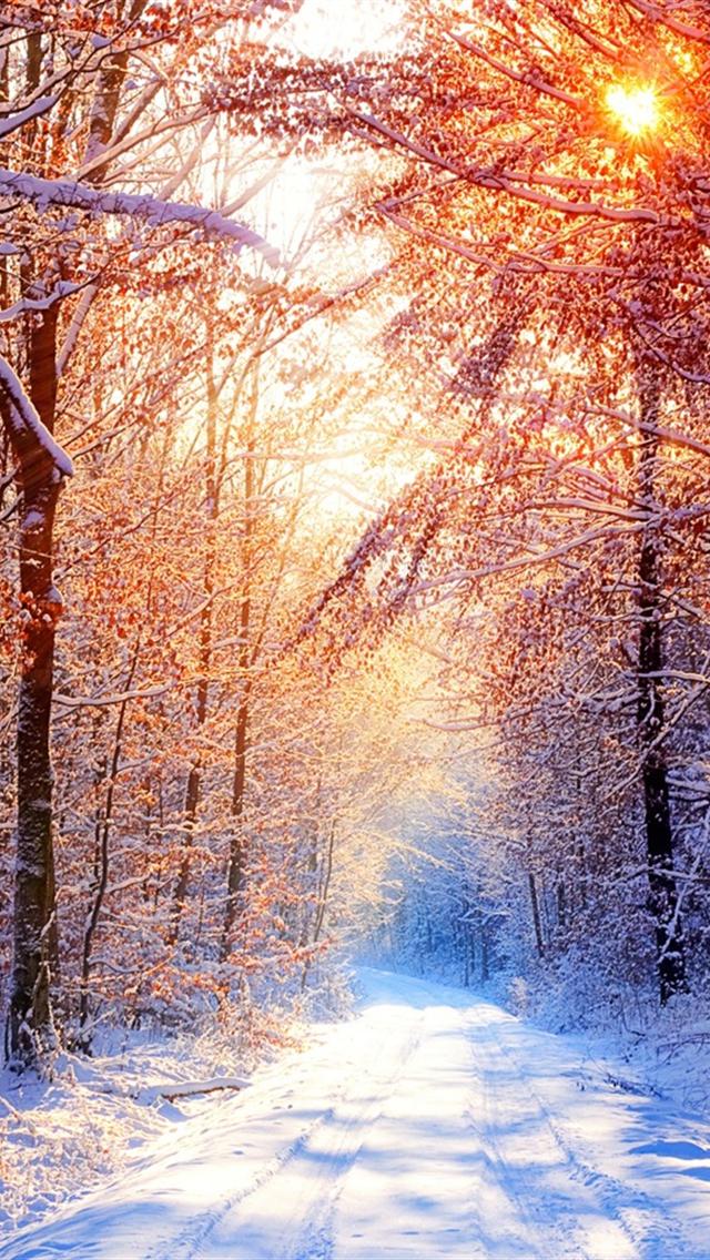 Top Winter iPhone HD Wallpaper Background