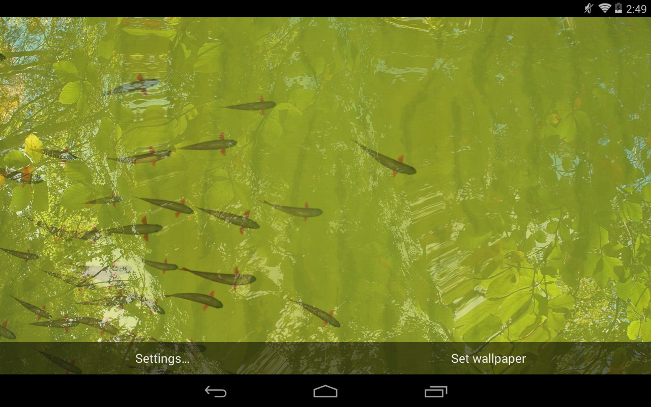Best Fish Live Wallpaper Android