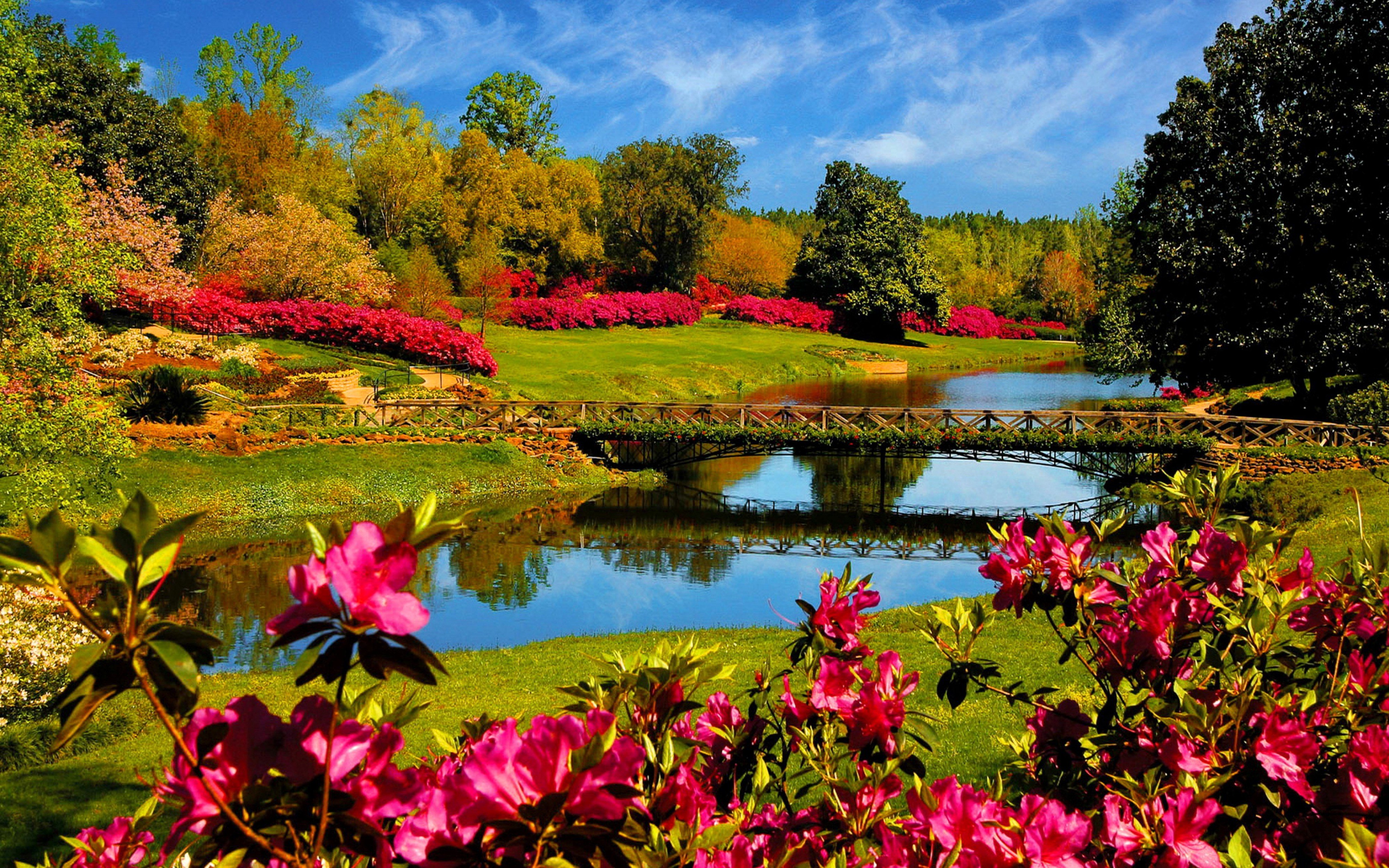 Flower Lake Landscape Wallpaper