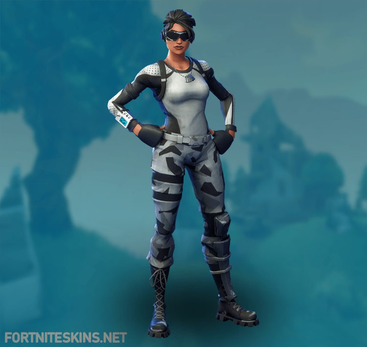 Arctic Assassin Fortnite Outfits Epic Games