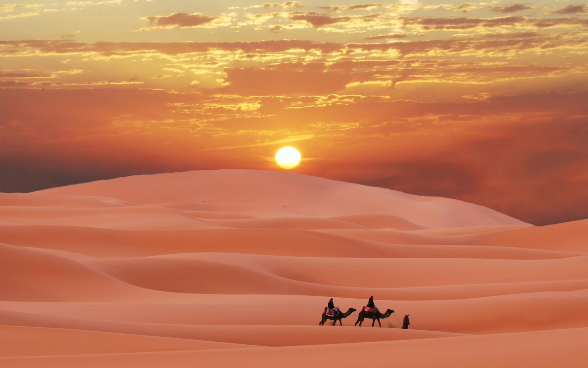 Sahara Wallpaper Background