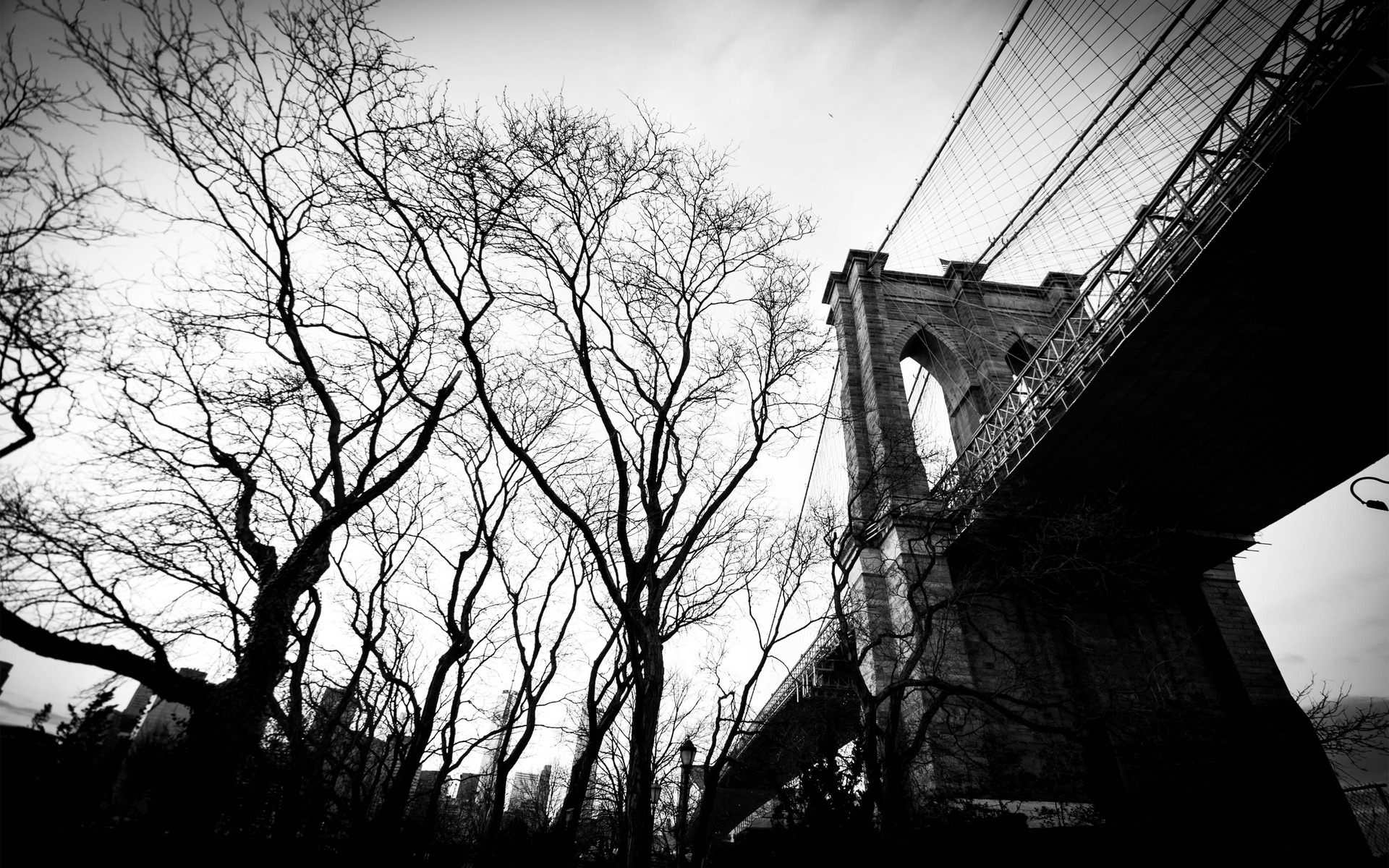 Name Brooklyn Bridge World Hd Wallpaper 1920x1200 5879jpg Pictures