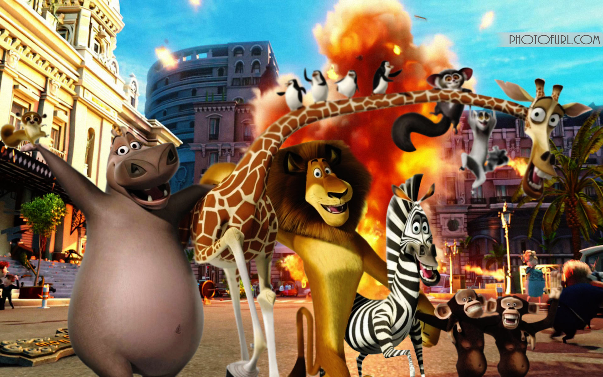 Мадагаскар мультфильм 2012