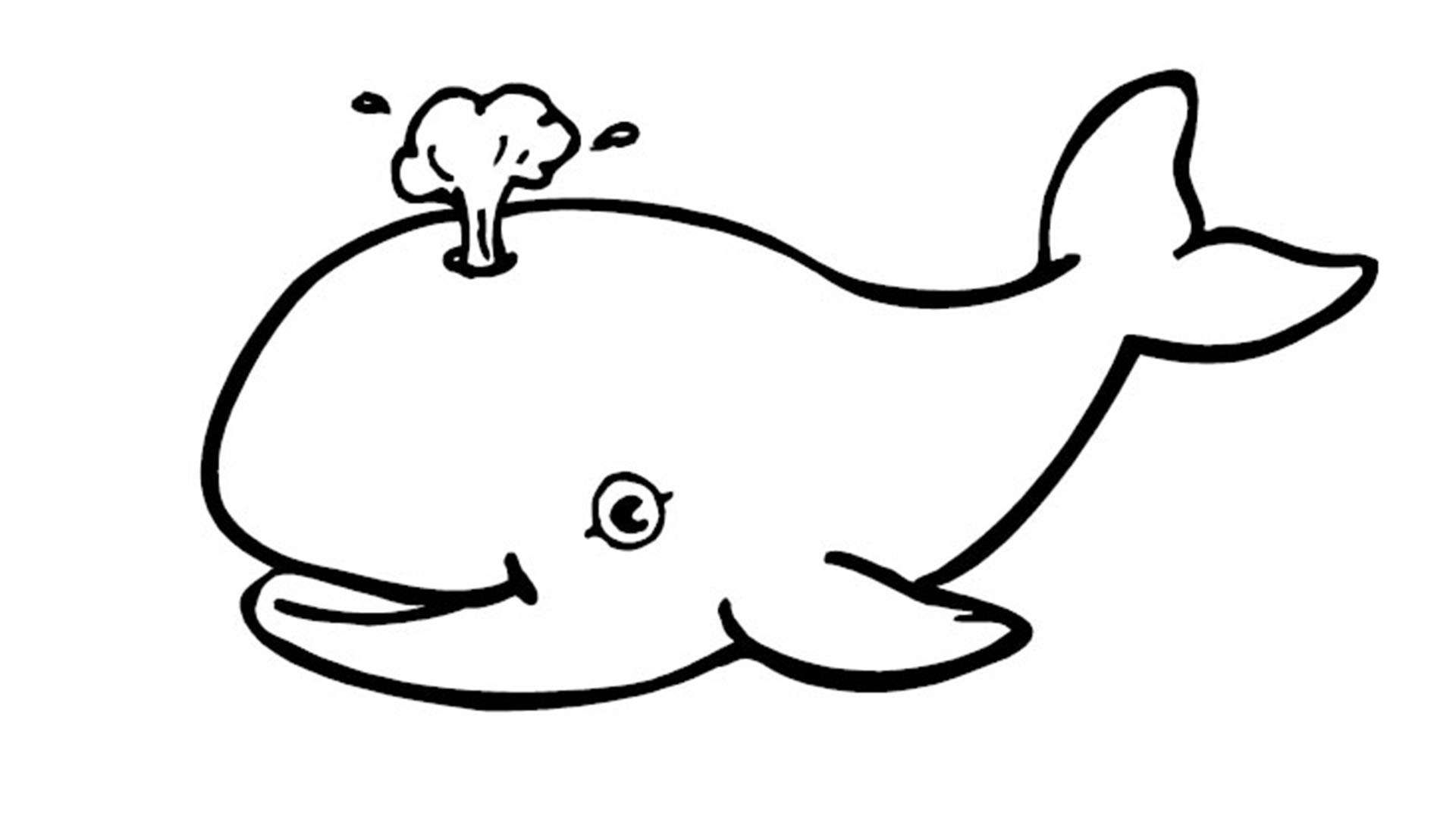 Whale Coloring HD Wallpaper
