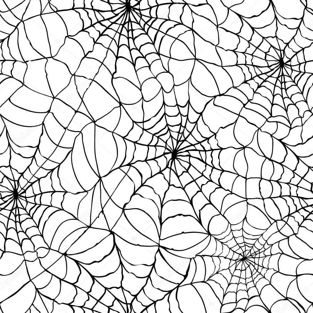 Spider Web Background Image