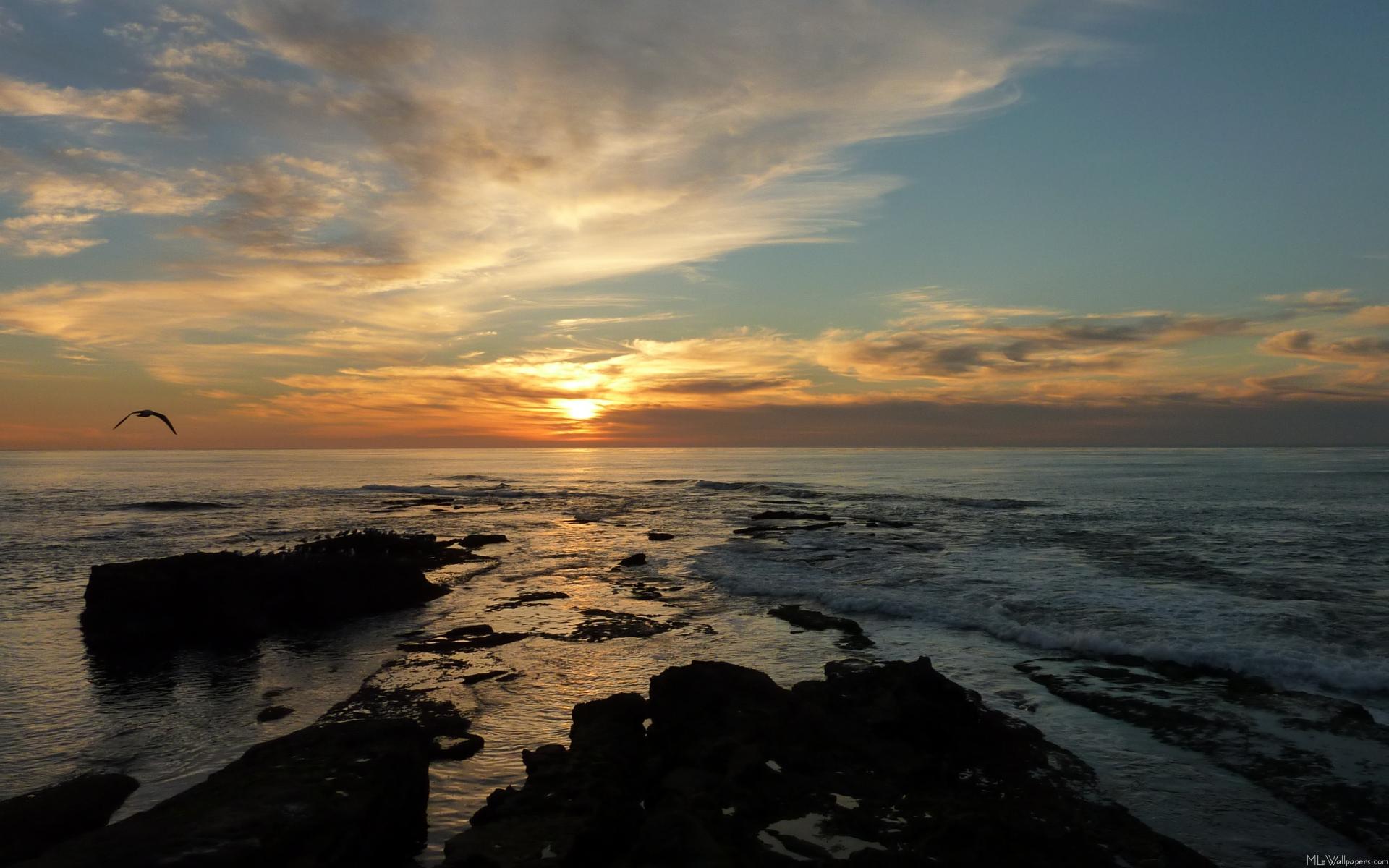 Free download 855x960 Droid [855x960] for your Desktop, Mobile & Tablet