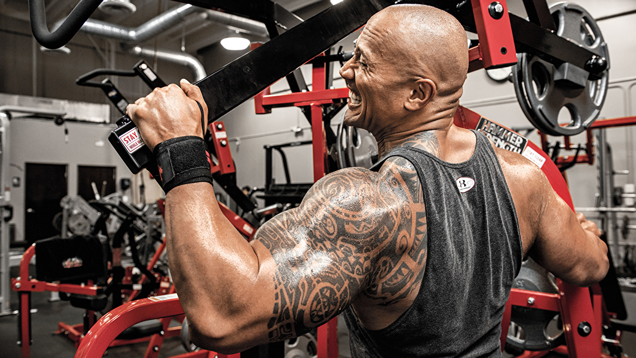 Photos Dwayne Johnson Tattoos Man machine the rock gym workout Human