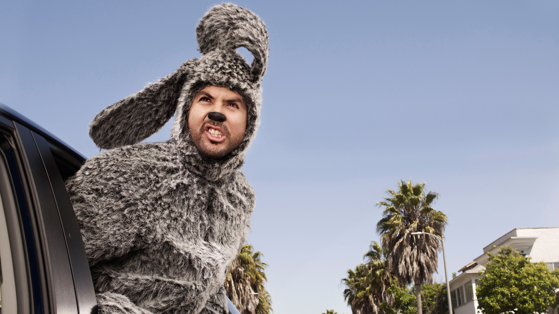 Wilfred HD Wallpaper Background Image Id