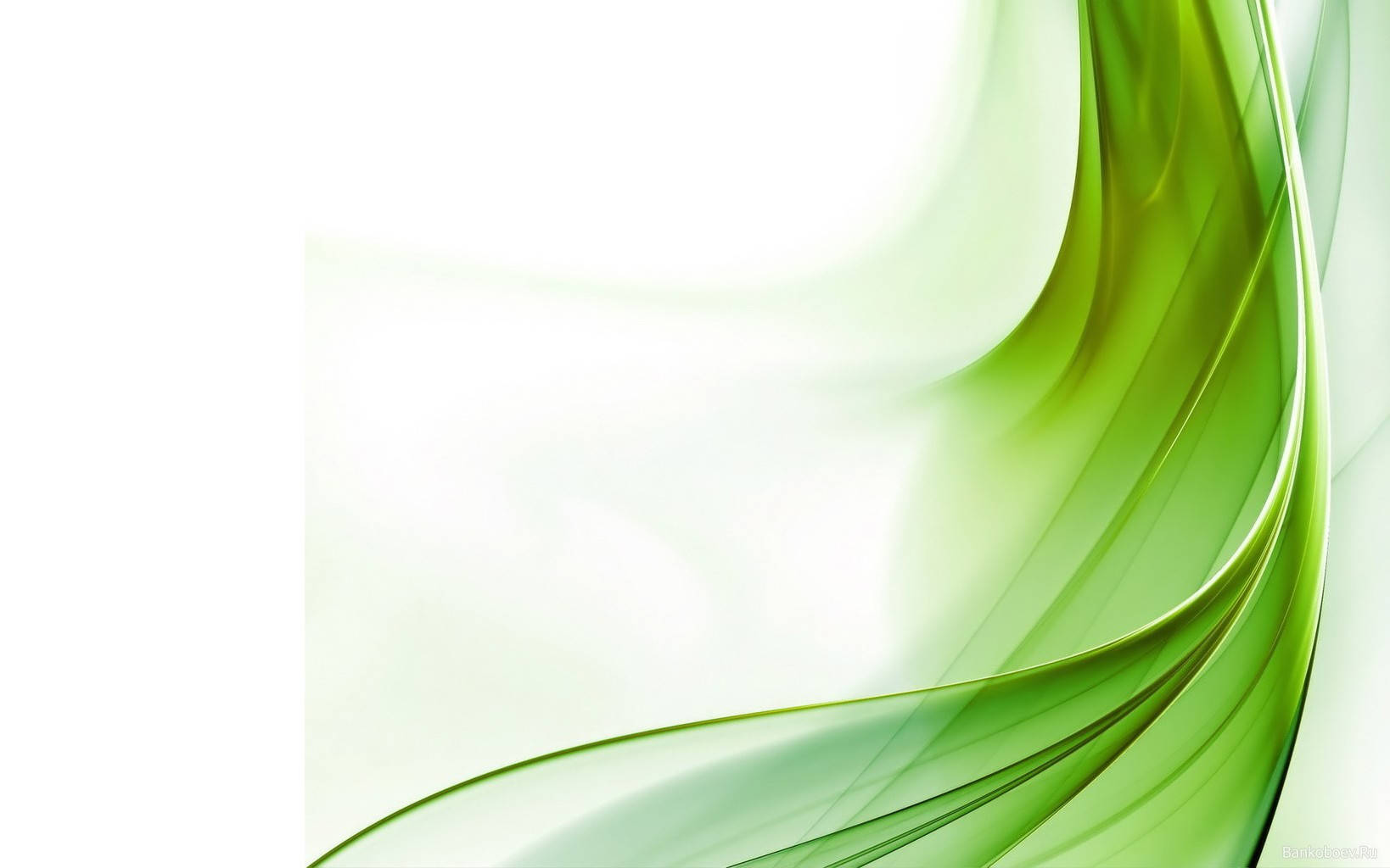 Green Abstract Wallpaper