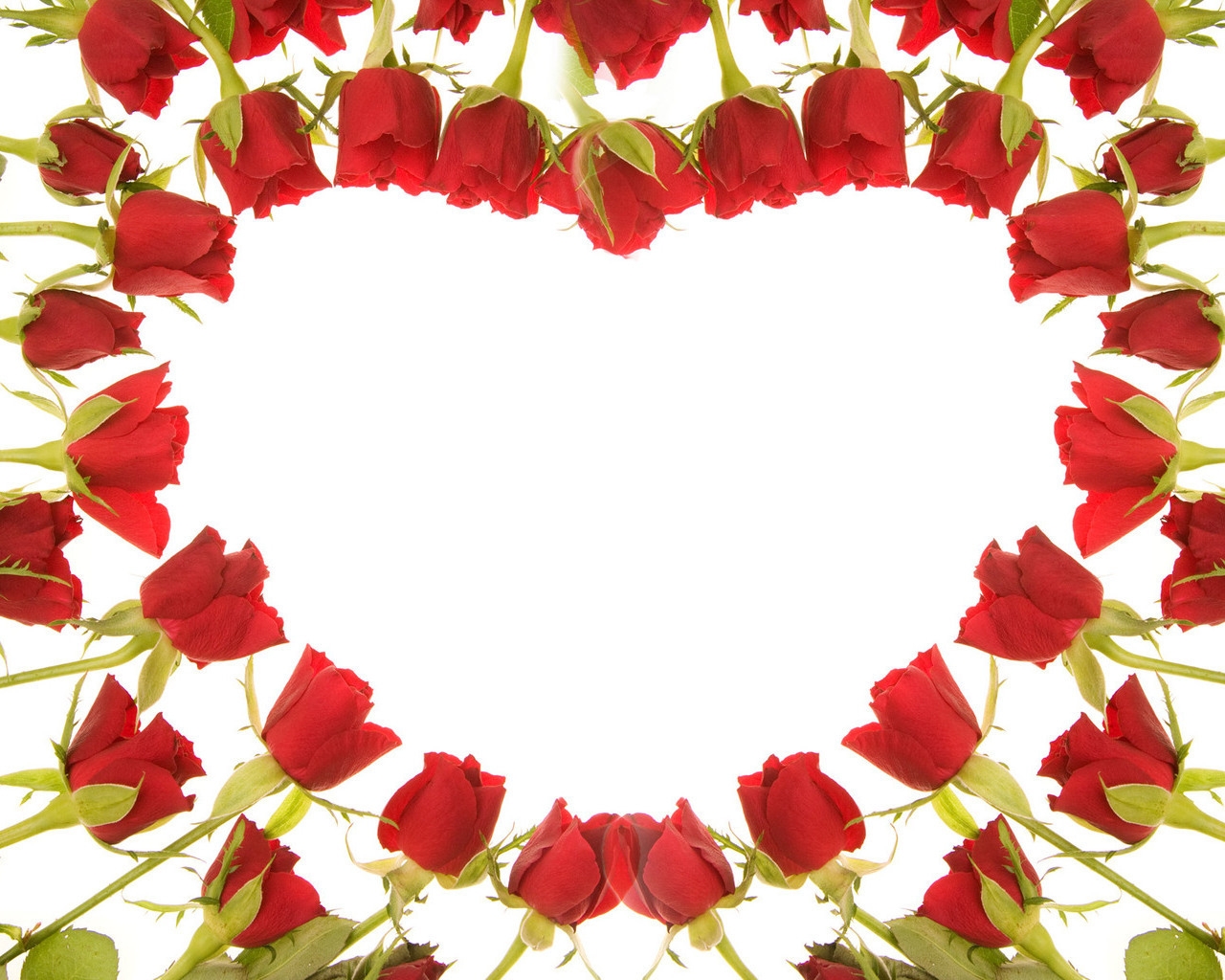 Heart Of Roses Wallpaper