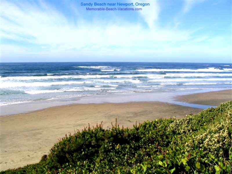 Oregon Coast Picture Of Newport Beaches