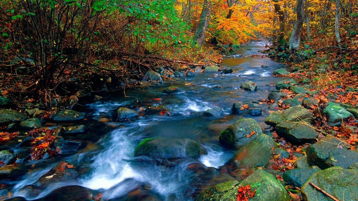 Blue Ridge Stream Shenandoah National Park Virginia Places I