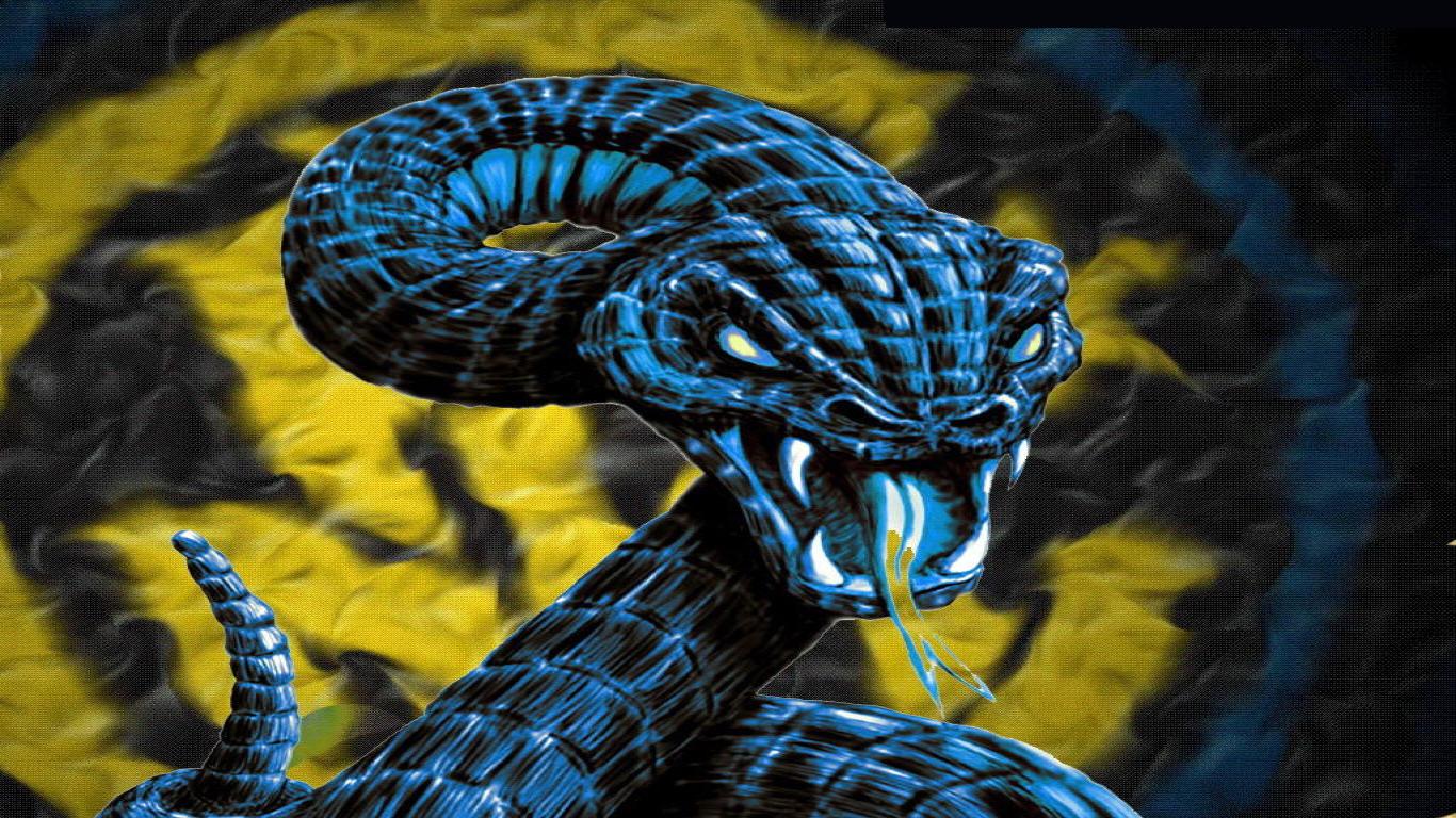 HD Snake Wallpaper Which Is Under The