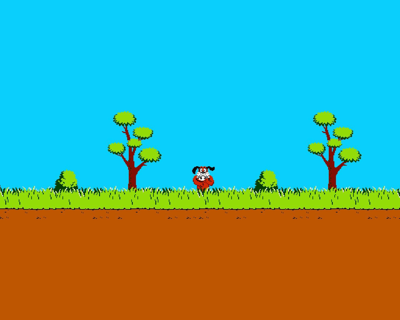 Duck Hunt Wallpaper