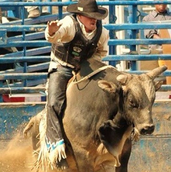 Free Bull Riding Wallpaper   Other   Listiacom Auctions for Free