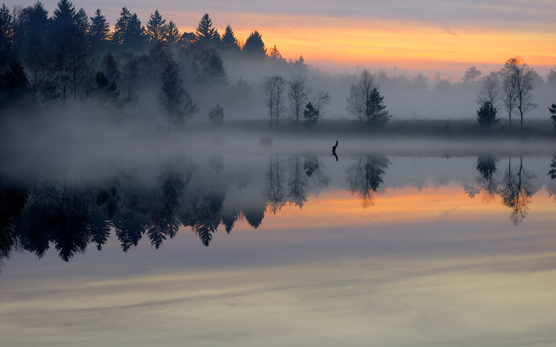 Lake Sunrise Trees Fog Sky Shore Reflection Wallpaper Background