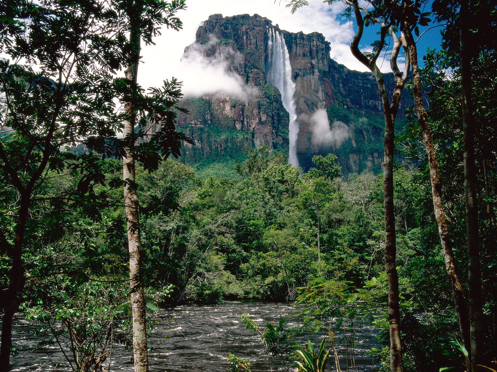 Angel Falls Venezuela wallpapers and images   wallpapers pictures