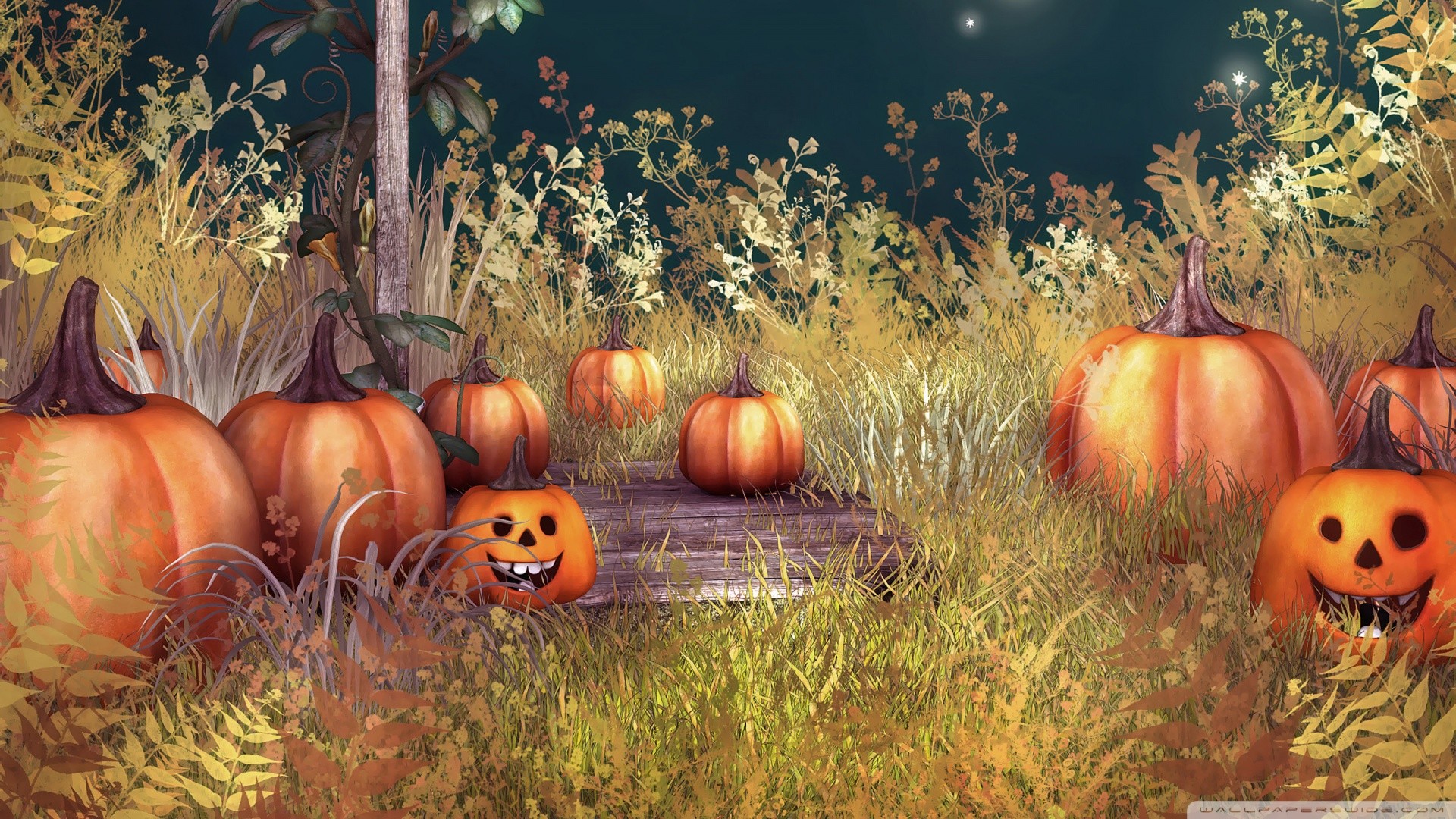 A whimsical Halloween scene with smiling carved pumpkins nestled among tall grass and foliage under a starry night sky